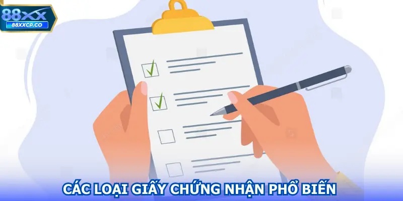 Các loại giấy chứng nhận phổ biến trên thị trường